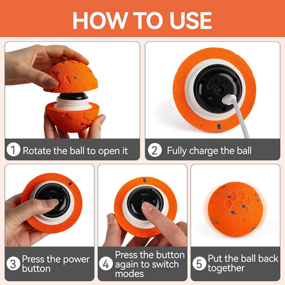 Smart Motion-Activated Moving Ball for Dogs