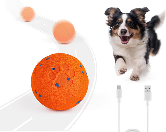 Smart Motion-Activated Moving Ball for Dogs