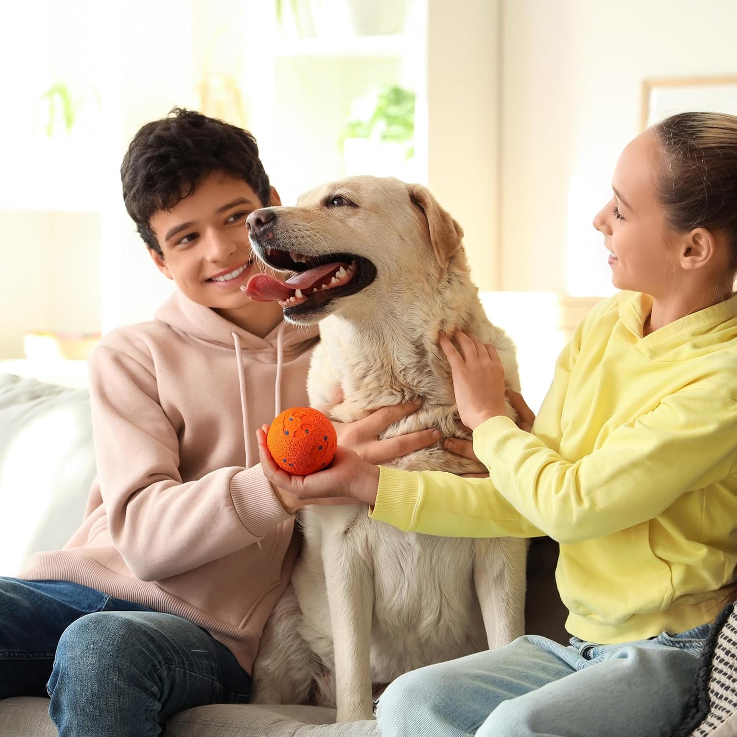 Smart Motion-Activated Moving Ball for Dogs