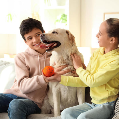 Smart Motion-Activated Moving Ball for Dogs