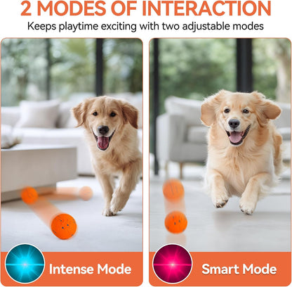 Smart Motion-Activated Moving Ball for Dogs