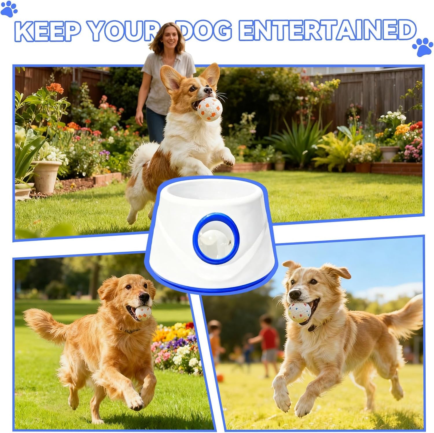 Automatic Dog Ball Launcher – 8-Ball Fetch Set