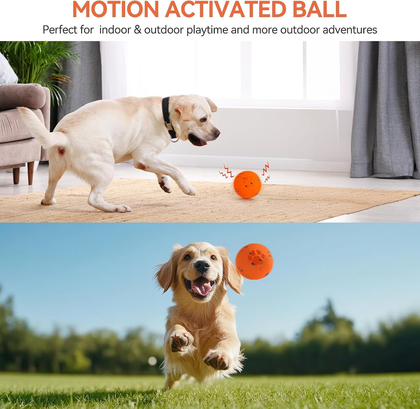 Smart Motion-Activated Moving Ball for Dogs